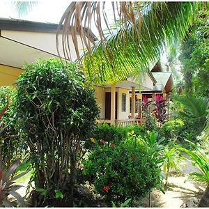 Bungalow Standarde